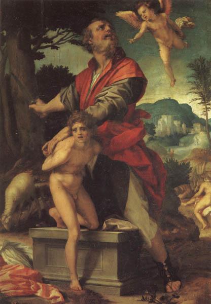 Andrea del Sarto The Sacrifice of Abraham France oil painting art